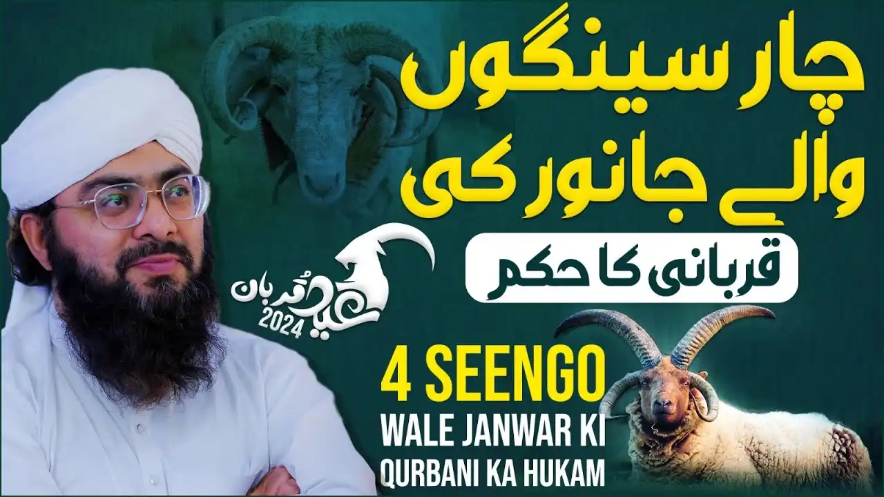 4 Seeng Wale Janwar Ki Qurbani Ka Hukum?